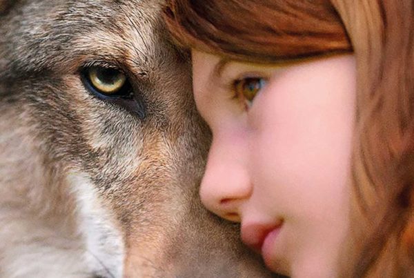 Mystere - Cinéma Les etoiles -Bruay La Buissière