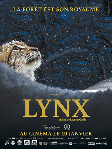 Lynx - Cinéma Les etoiles -Bruay La Buissière