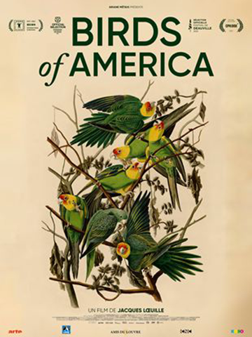 Birds of america - Cinéma Les Étoiles - Bruay la Buissière
