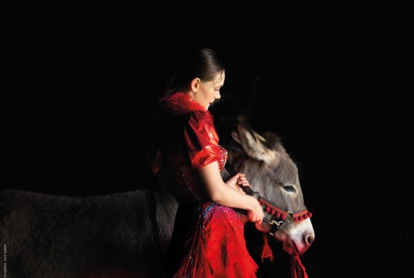 EO - Cinéma Les Étoiles - Bruay la Buissière