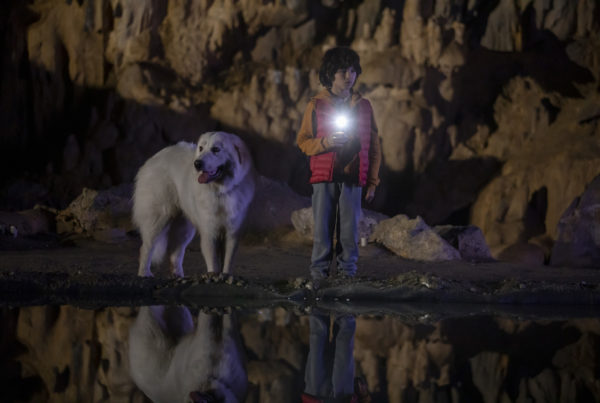 Belle et Sébastien - Cinéma Les Étoiles - Bruay la Buissière