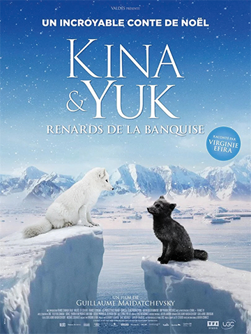 Kina & Yuk : renards de la banquise - Cinéma Les Étoiles - Bruay la Buissière