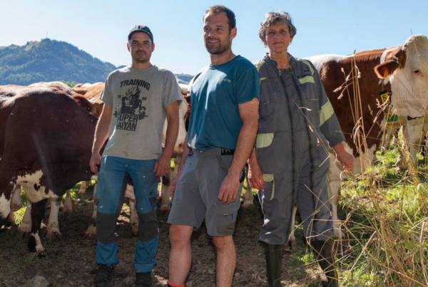 La Ferme des Bertrand - Cinéma Les Étoiles - Bruay la Buissière