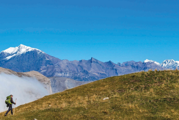 Vivre avec les loups - Cinéma Les Étoiles - Bruay la Buissière