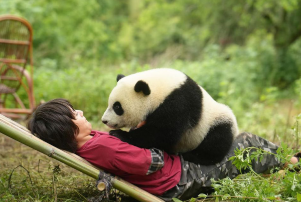 Moon le panda - Cinéma Les Étoiles - Bruay la Buissière
