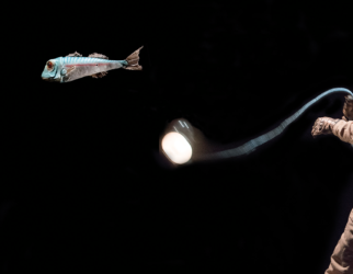 Ciné Spectacle - 20 000 Lieues sous les mers - Dimanches 10 et 17 décembre à 16h - - Cinéma Les Étoiles - Bruay la Buissière